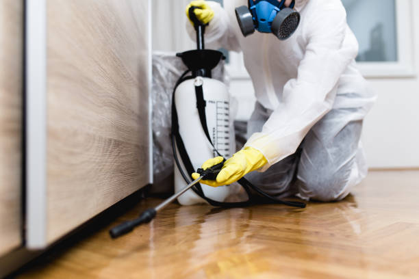 Best Ant Control Services  in Chester Gap, VA