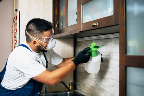 Best Pest Control for Restaurants  in Chester Gap, VA