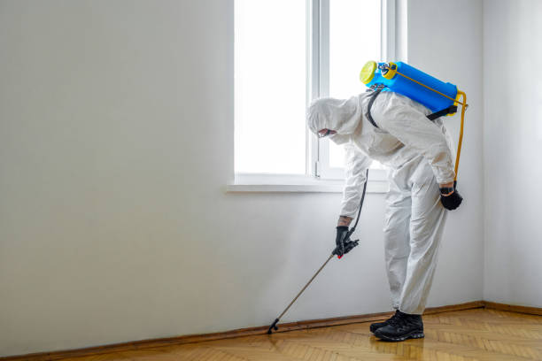 Best Flea Control Services  in Chester Gap, VA