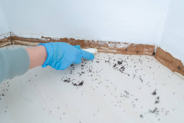 Best Commercial Pest Control Services  in Chester Gap, VA