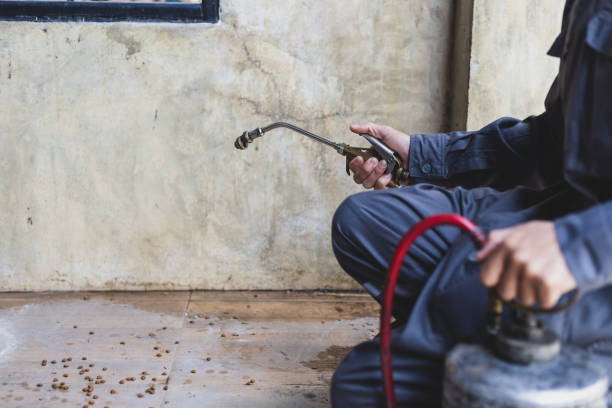 Best Mosquito Control Services  in Chester Gap, VA
